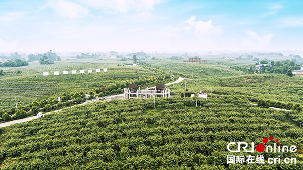 四川省蒲江县国家现代农业产业园创建纪实