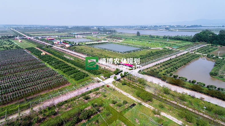 安庆市大观区现代农业示范区
