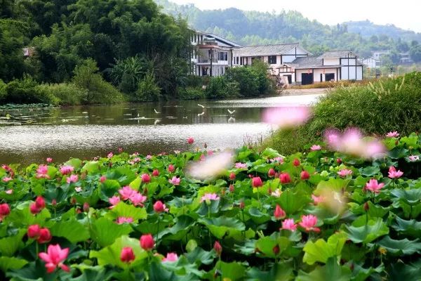 中国美丽休闲乡村项目申报
