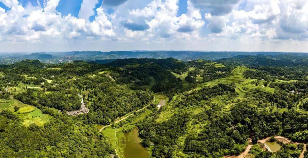 潼南 “五有”共享经济激活乡村振兴“一池春水”