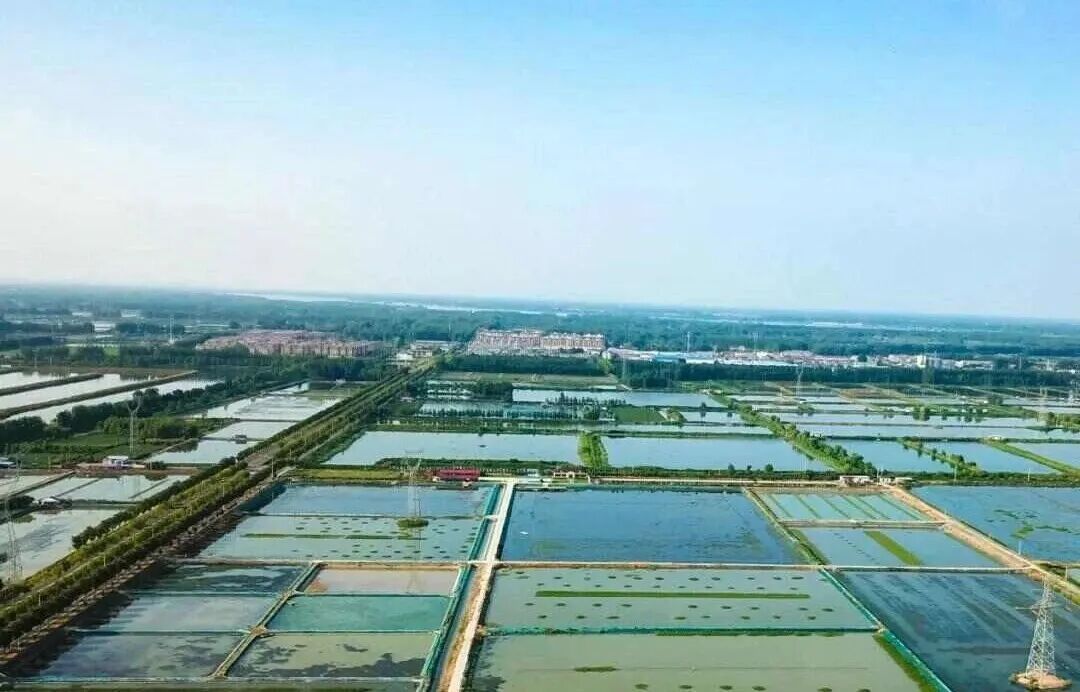 从霸王虞姬出圈，看农文旅融合下的乡村新活力(图9)