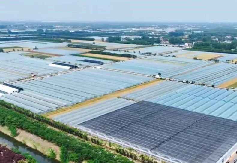从霸王虞姬出圈，看农文旅融合下的乡村新活力(图11)