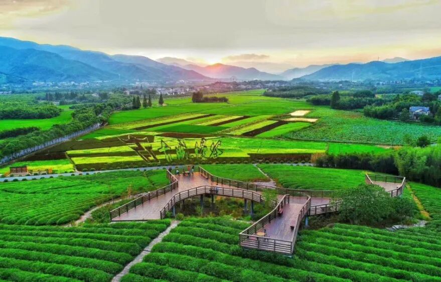 从霸王虞姬出圈，看农文旅融合下的乡村新活力(图22)